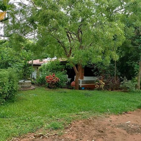 Inn Pondiville Forest Retreat Pondicherry Exteriör bild