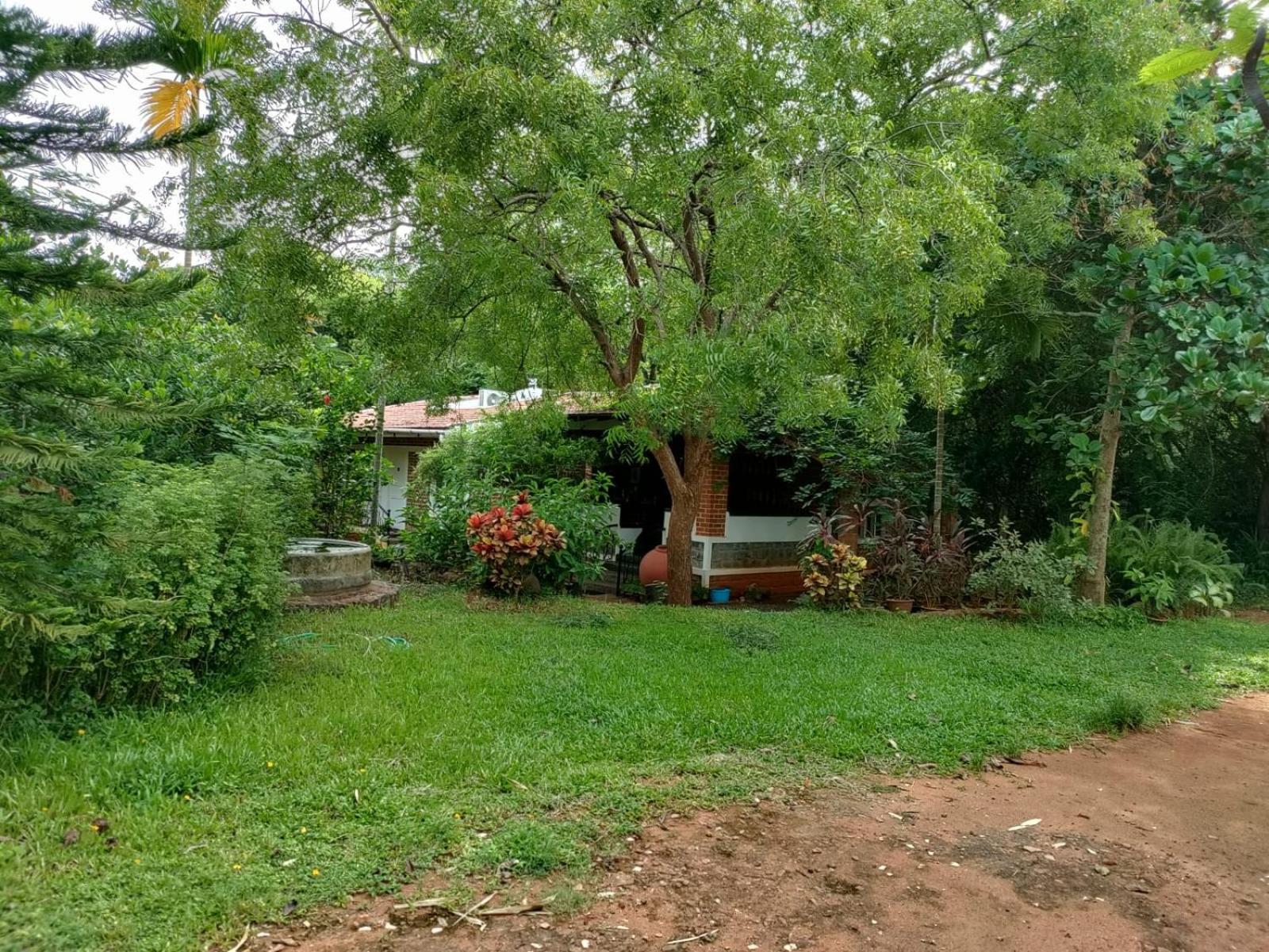 Inn Pondiville Forest Retreat Pondicherry Exteriör bild
