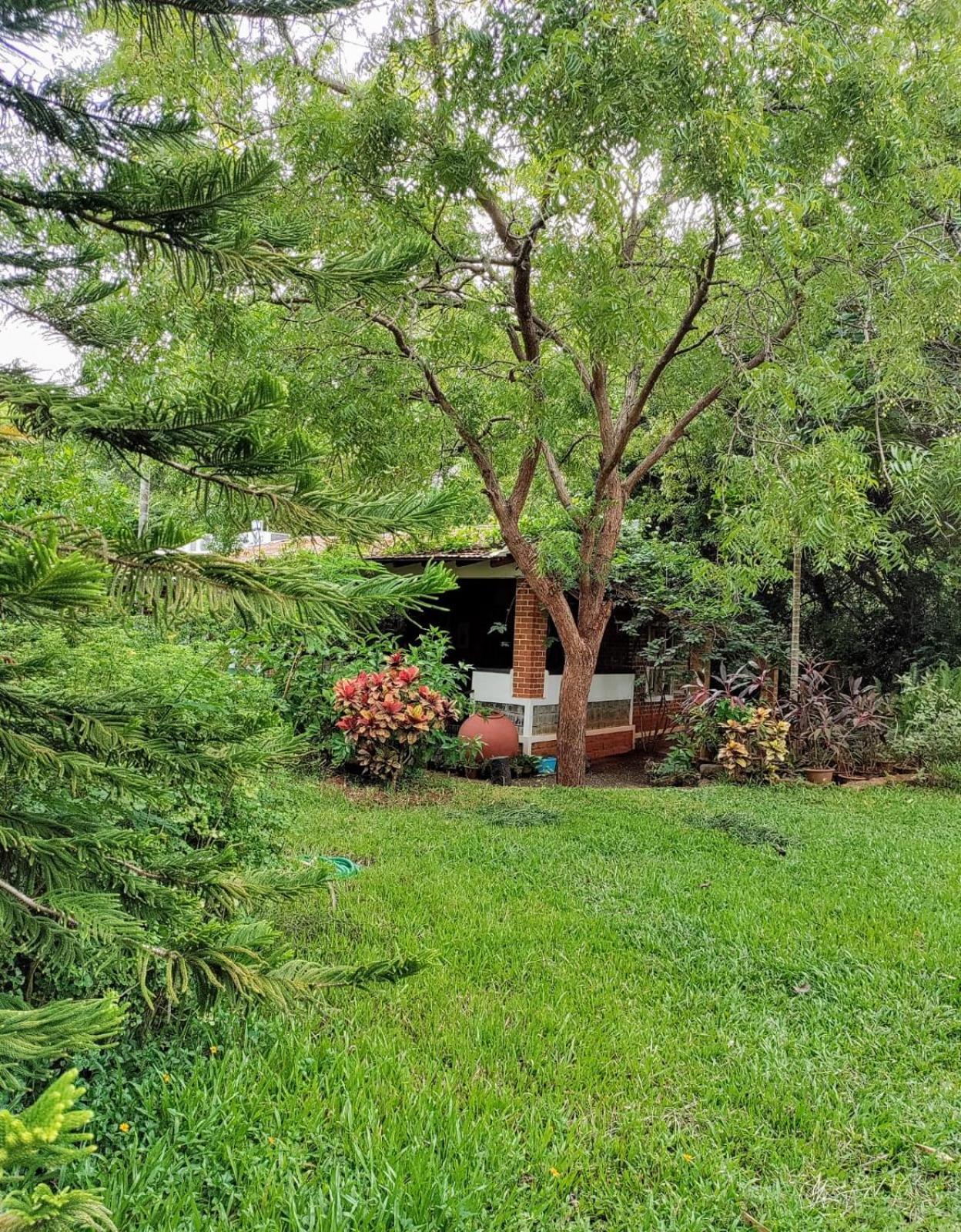 Inn Pondiville Forest Retreat Pondicherry Exteriör bild